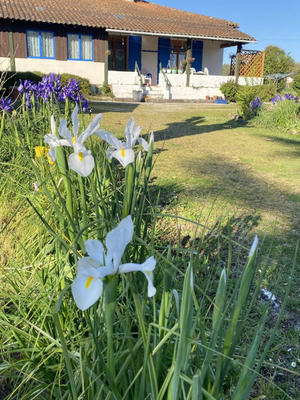 Maison - 113 m² - 5 pièces