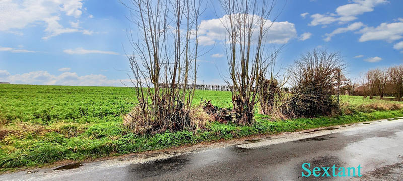 Maison - 290 m² - 13 pièces