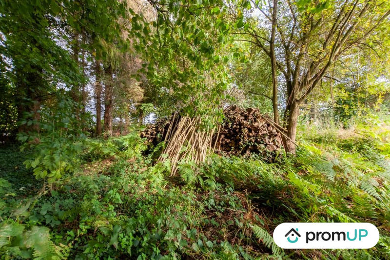 Terrain de loisirs - 1 600 m²