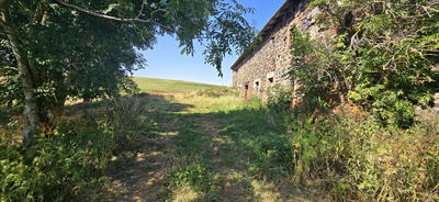 Ferme - 500 m² - 2 pièces
