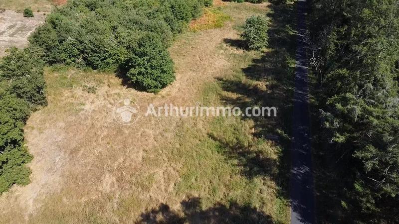 Terrain - 3 150 m²