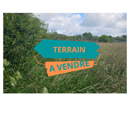 Terrain - 1 355 m²