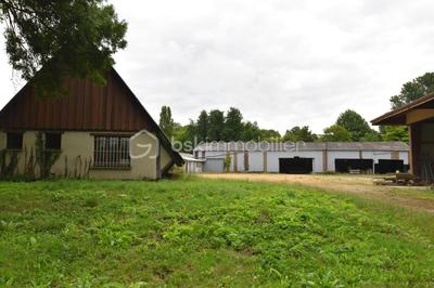 Local d'activité / Entrepôt - 2 600 m² - 10 pièces