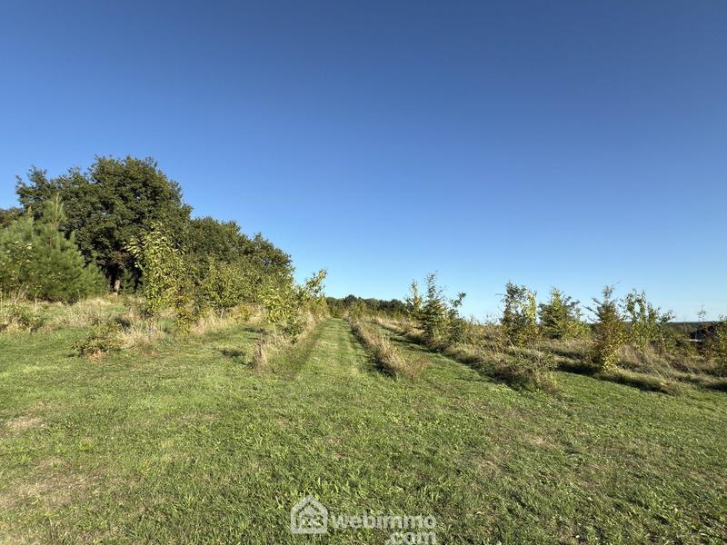 Maison - 182 m² - 6 pièces