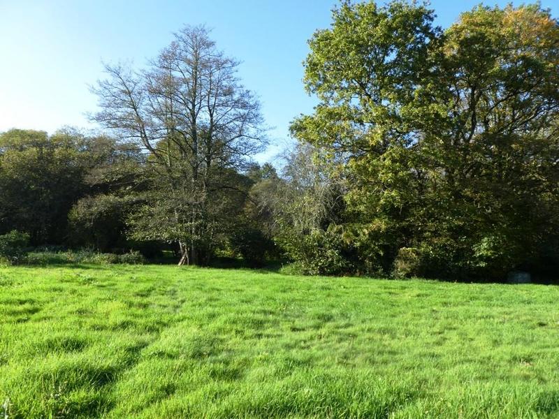 Maison en pierre - 90 m² - 4 pièces