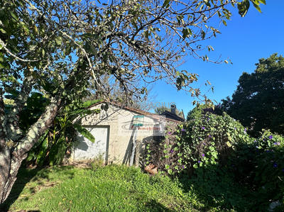 Maison - 219 m² - 13 pièces