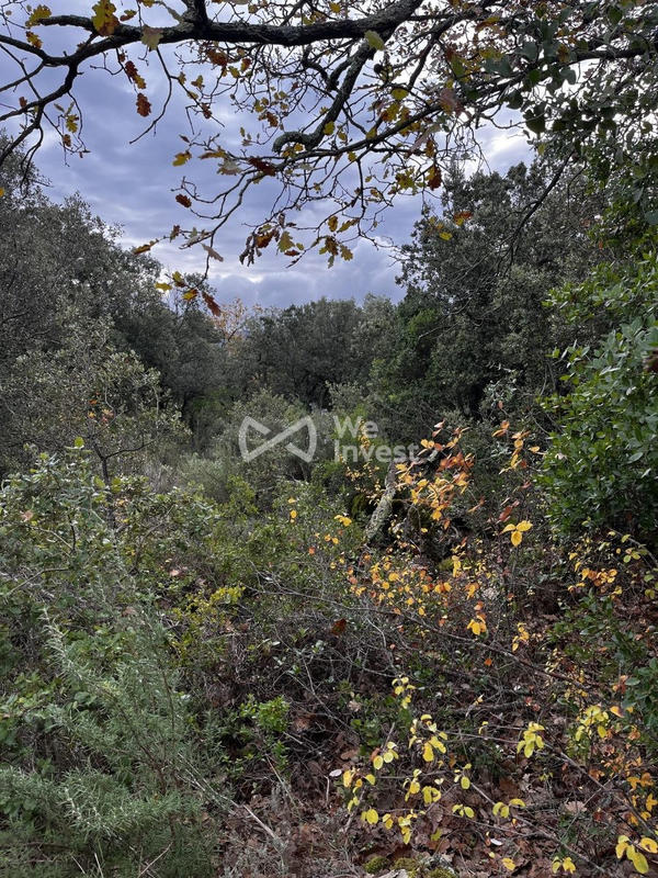 Terrain - 33 565 m²