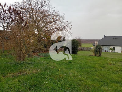 Maison - 64 m² - 3 pièces