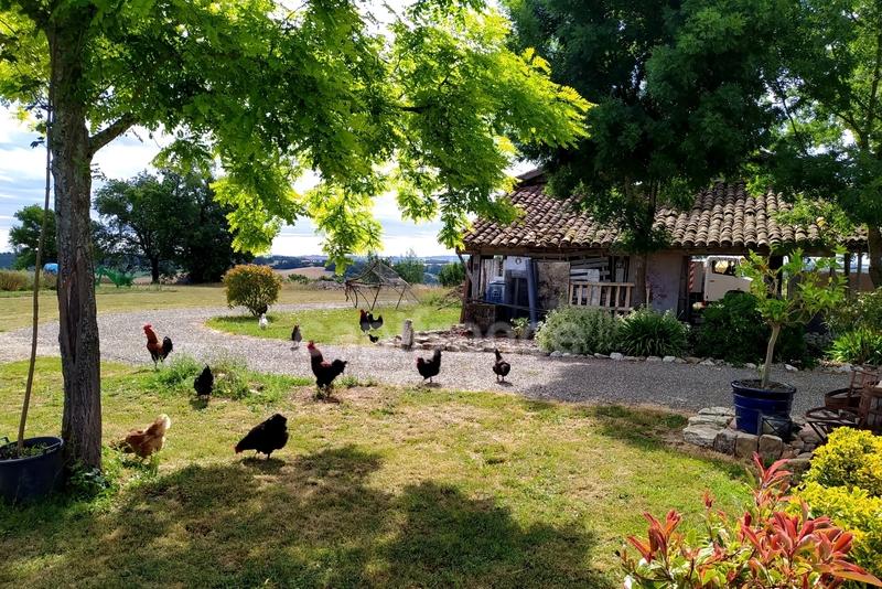 Propriété - 220 m² - 7 pièces