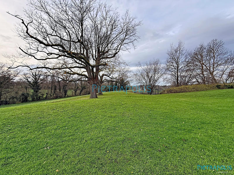 Maison ancienne - 350 m² - 13 pièces