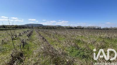 Terrain agricole - 5 158 m²