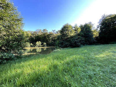 Terrain - 14 940 m²