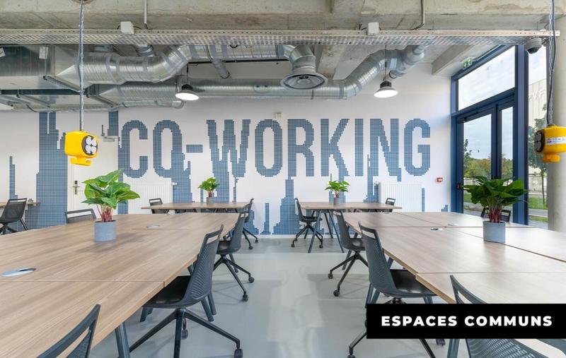 Studio - 17 m² - 1 pièce