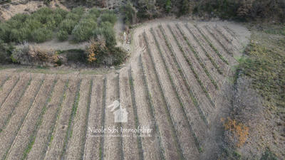 Terrain agricole - 2 116 m²