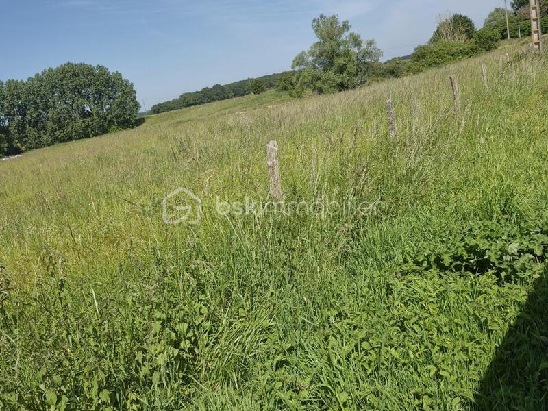 Longère - 214 m² - 6 pièces