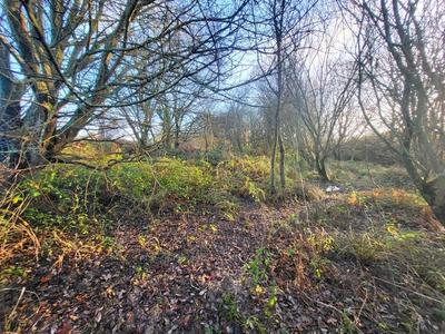 Terrain - 62 680 m²