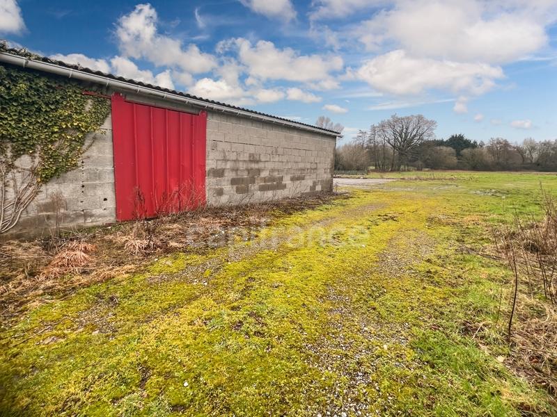 Corps de ferme - 131 m² - 6 pièces
