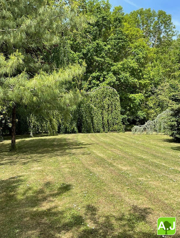 Maison ancienne - 185 m² - 10 pièces