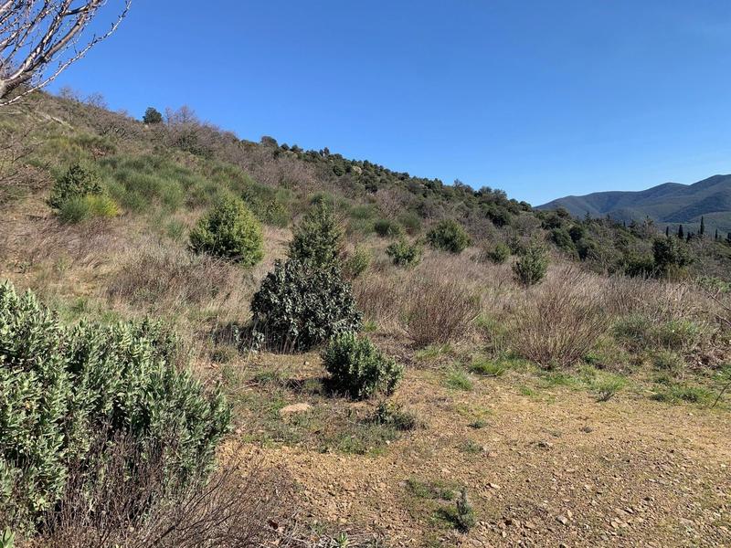 Terrain - 3 900 m²