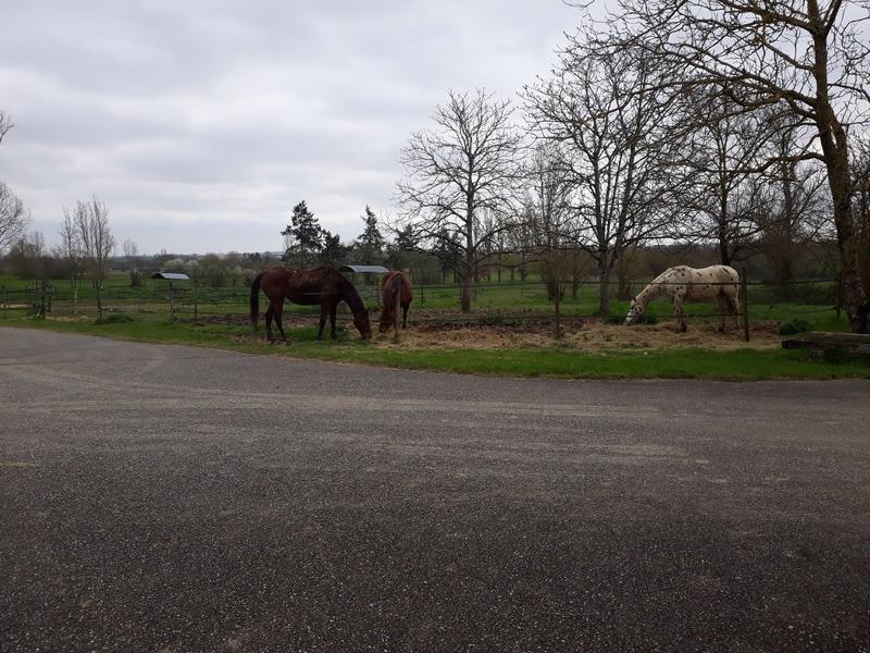 Maison - 205 m² - 6 pièces