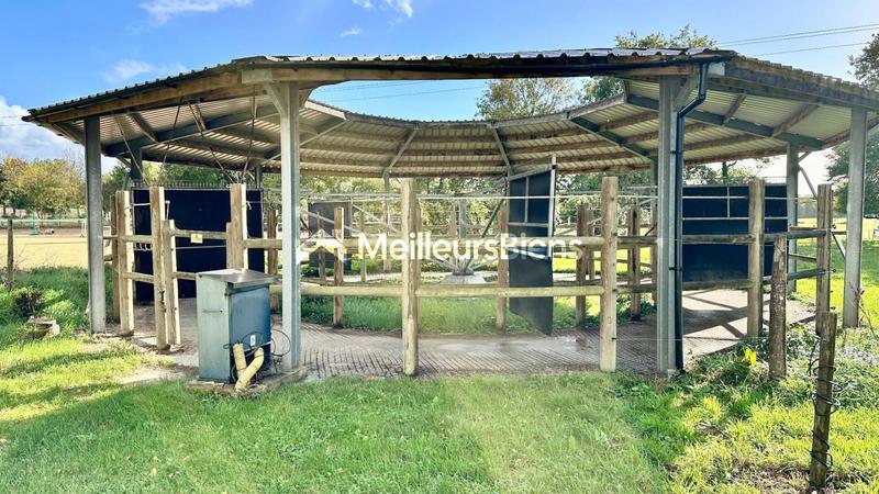 Local d'activité / Entrepôt - 240 m² - 7 pièces