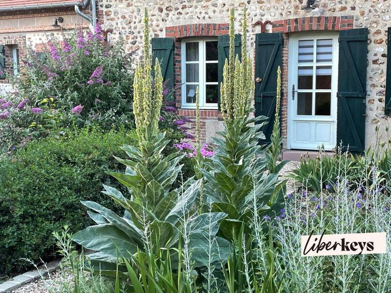 Maison - 71 m² - 3 pièces