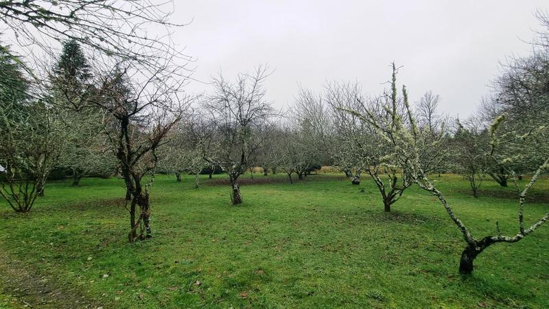 Maison - 176 m² - 7 pièces