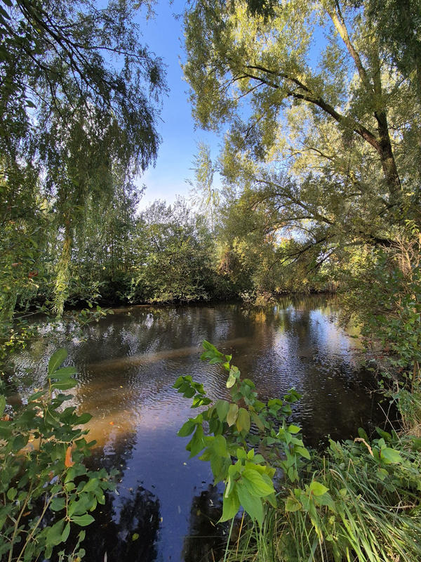 Maison - 180 m² - 8 pièces