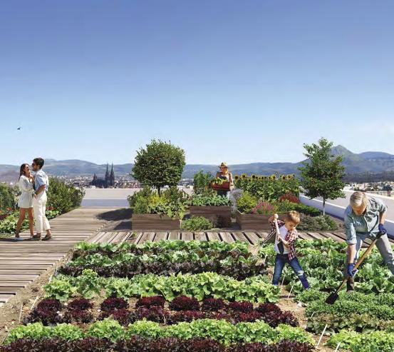 Appartement - 23 m² - 1 pièce