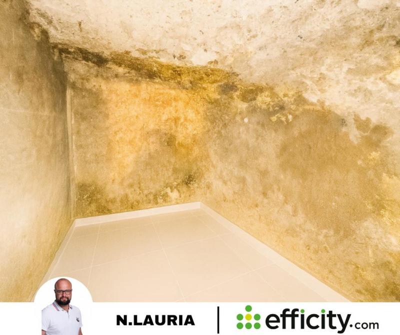 Appartement - 25 m² - 2 pièces