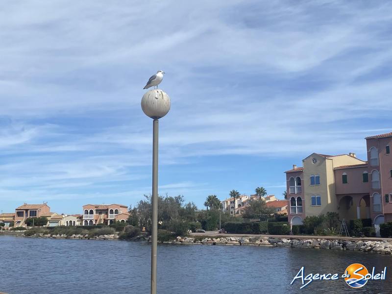 Appartement - 31 m² - 2 pièces