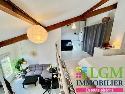 Duplex - 50 m² - 2 pièces