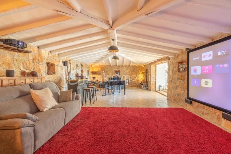 Mas - 284 m² - 6 pièces