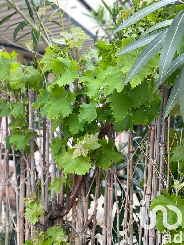 Appartement - 30 m² - 1 pièce