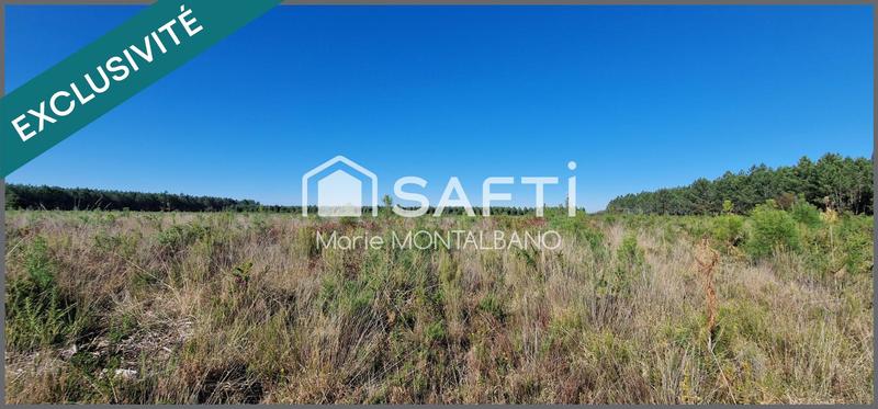 Terrain - 15 553 m²