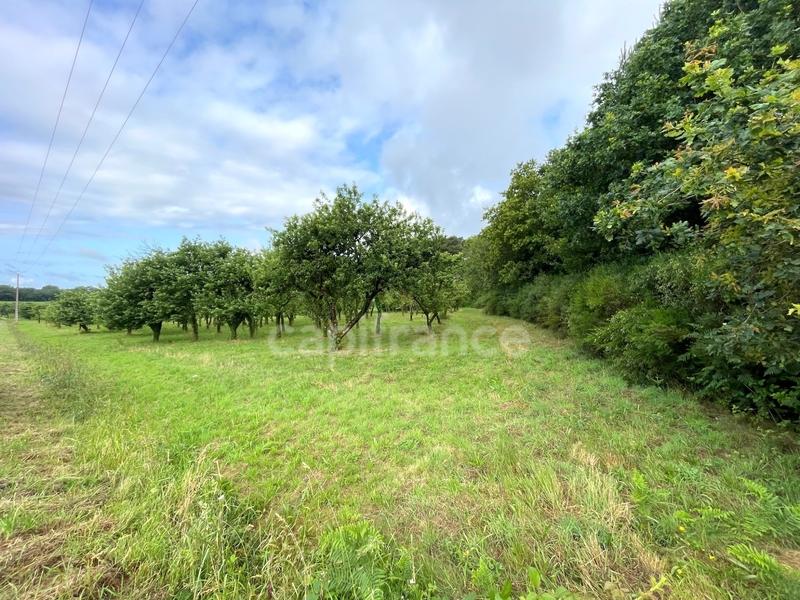 Terrain agricole - 12 510 m²