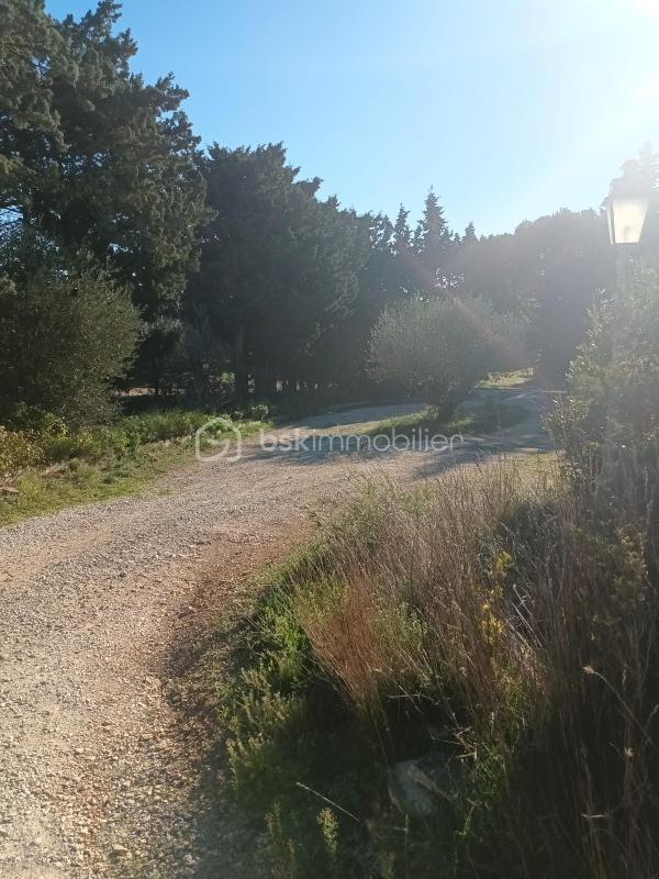 Maison traditionnelle - 248 m² - 9 pièces