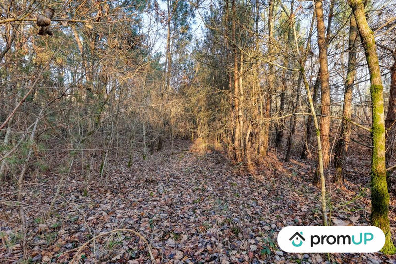 Terrain de loisirs - 1 595 m²