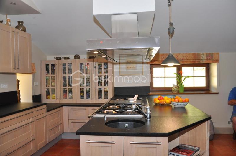 Propriété - 251 m² - 9 pièces