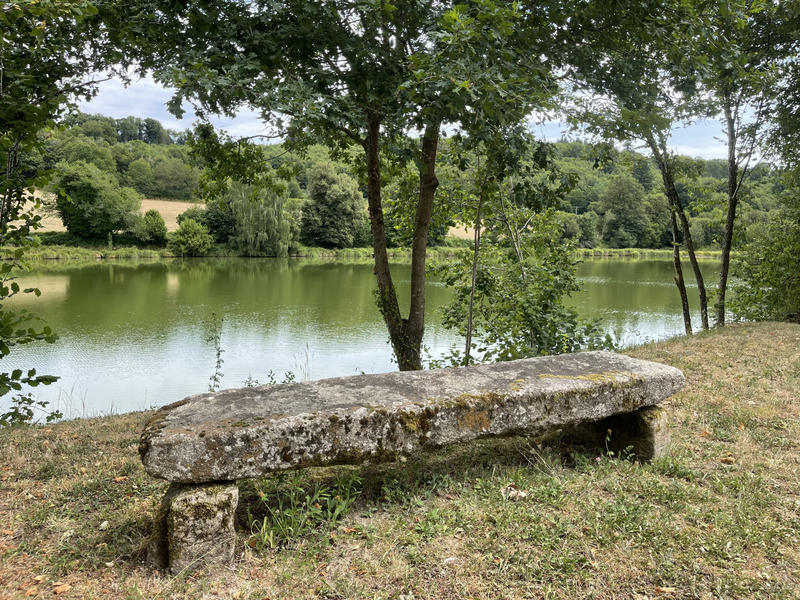 Maison - 228 m² - 7 pièces