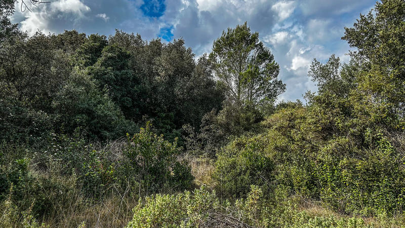 Terrain de loisirs - 2 930 m²