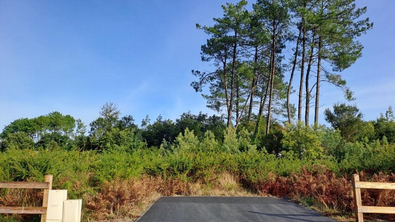 Terrain constructible - 1 111 m²