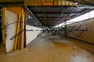 Local d'activité / Entrepôt - 1 635 m² - 12 pièces