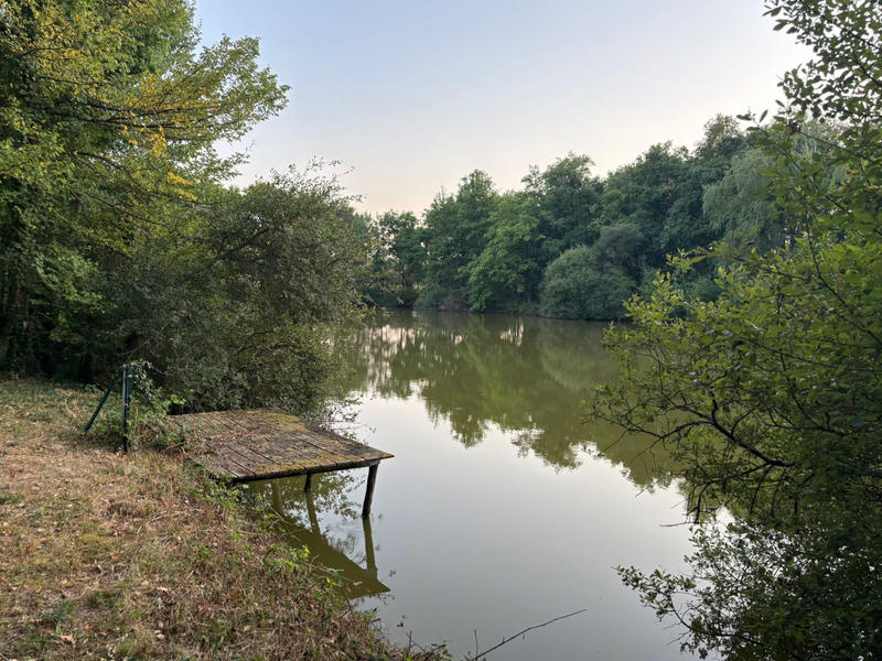 Terrain de loisirs - 43 162 m²