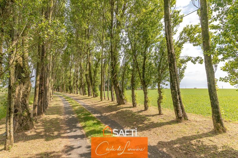 Maison - 350 m² - 12 pièces