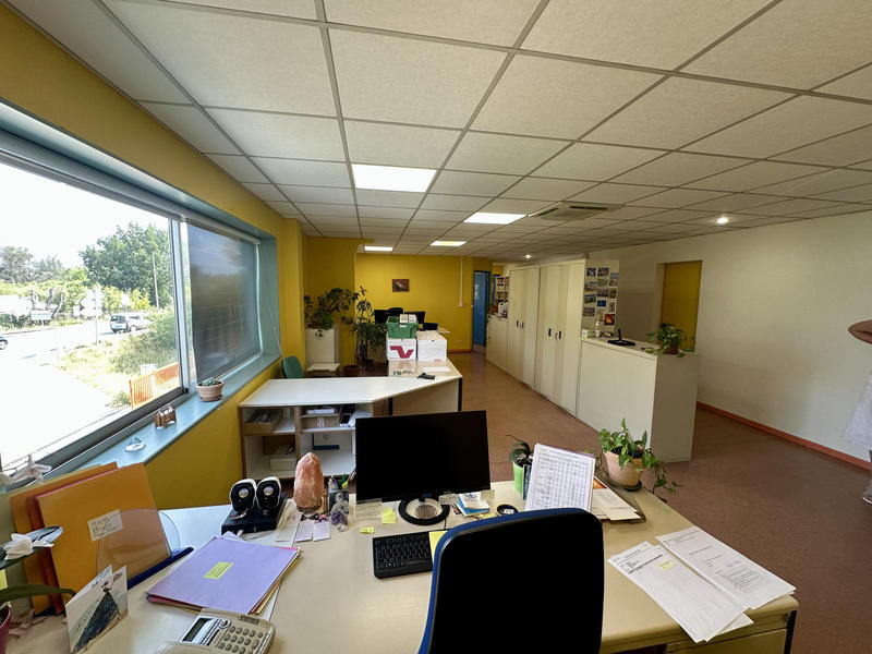 Local d'activités - 980 m²