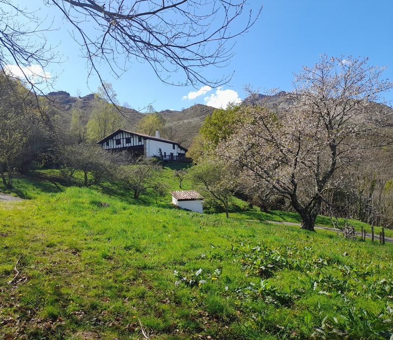 Propriété - 220 m² - 8 pièces