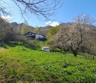 Propriété - 220 m² - 8 pièces