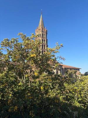 Appartement - 24 m² - 1 pièce