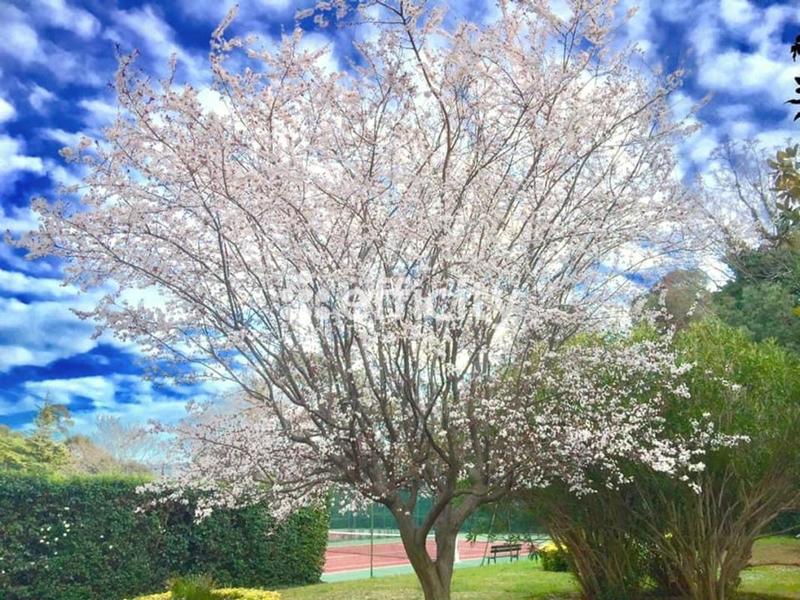 Appartement - 92 m² - 3 pièces